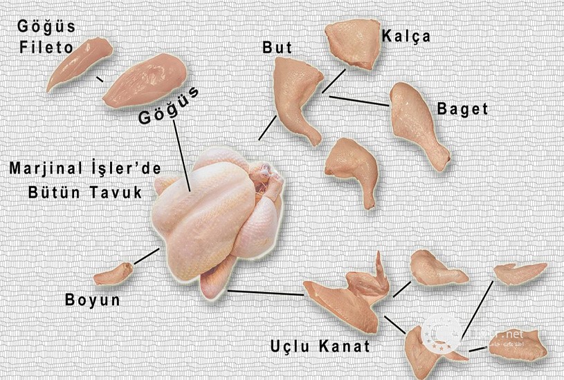 قیمت گوشت و مرغ در ترکیه 14