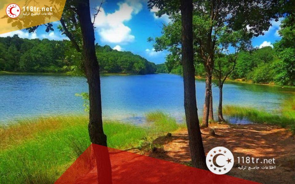 برکه گوک ترک